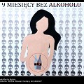 Plakat 137